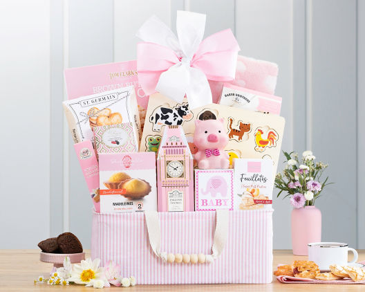 Bundle of Joy - PinkGift Basket - Item No: 995