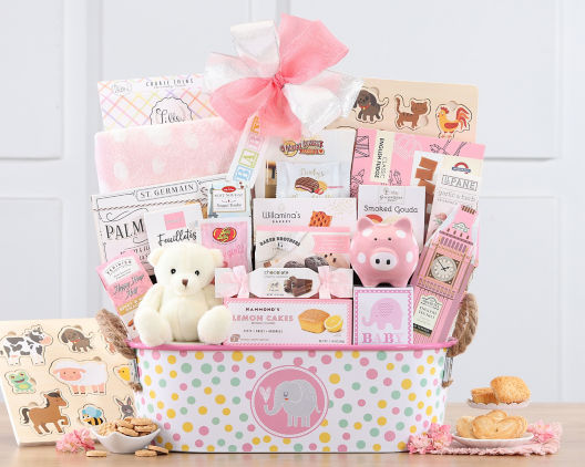 Suggestion - Ultimate Baby Girl Gift Basket  Original Price is $150