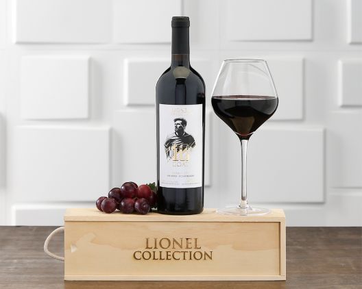 Item 455 - Messi Syrah 1 Bottle Wine Gift FREE SHIPPING