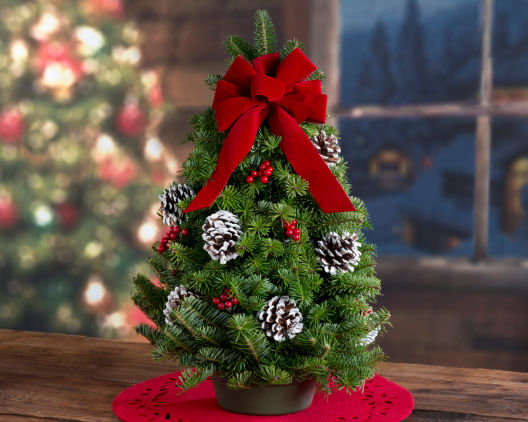 Suggestion - Classic Tabletop Christmas Tree 
