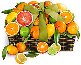 Suggestion - Ultimate Citrus Fruit Basket             Basket  Original Price is $135