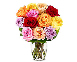 Suggestion - One Dozen Rainbow Roses With Glass Vase 
