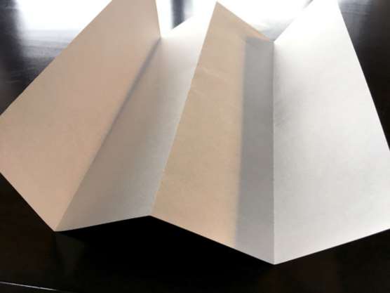 DIY Prosperous Paper Peonies 3