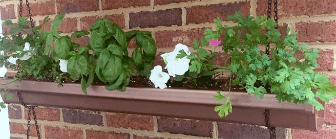 DIY Hanging Gutter Garden