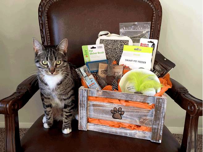 DIY Gift Baskets for Pets 1