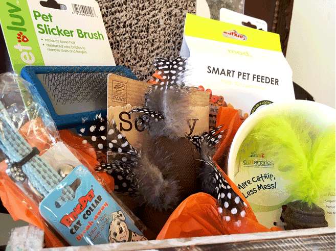 DIY Gift Baskets for Pets 2
