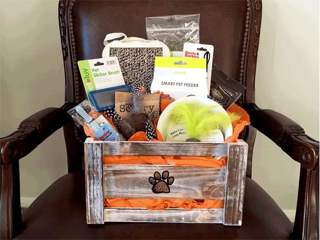 DIY Gift Baskets for Pets 3
