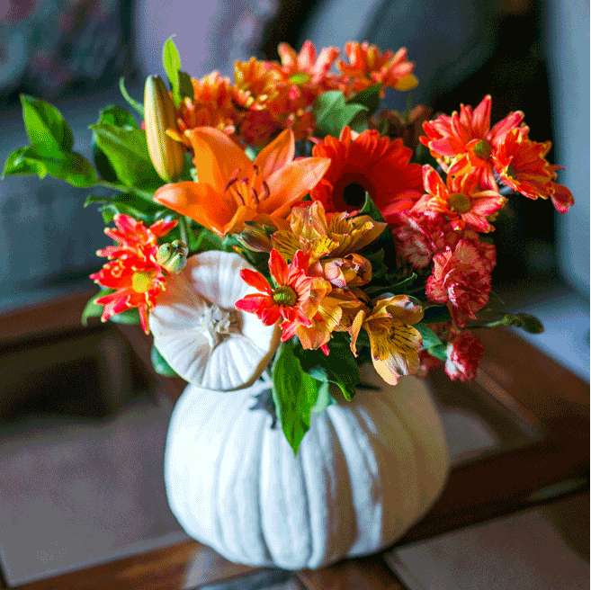 5 Ways to Use Pumpkins in your Fall Flower Arrangements | Blog