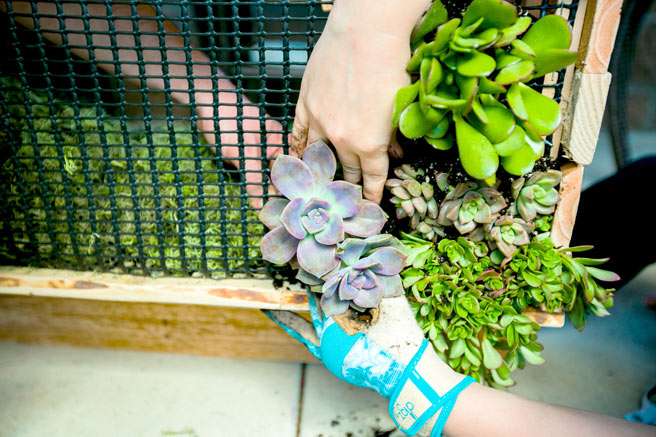 Build Your Own Hanging Succulent Garden 28