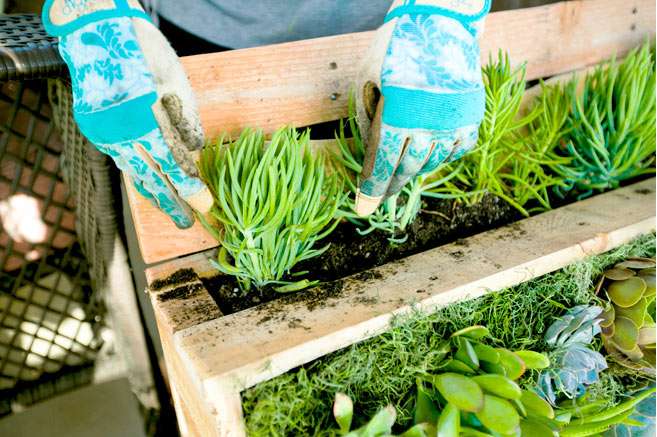 Build Your Own Hanging Succulent Garden 31