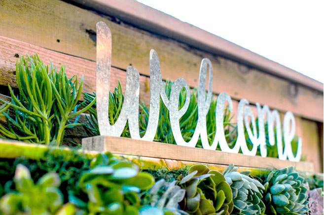 Build Your Own Hanging Succulent Garden 36