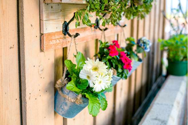 Build Your Own Hanging Succulent Garden 37