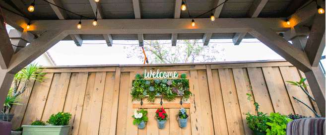 Build Your Own Hanging Succulent Garden Inside